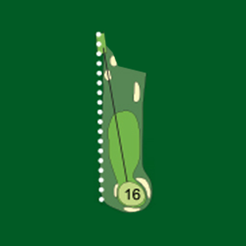 tee 16